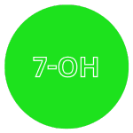 7oh 7oh
